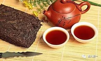 被誤解的茶葉“發(fā)酵” 一個并非完全正確的加工術(shù)語