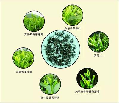 第三屆中國國際茶葉博覽會 麗水香茶攜九縣名茶強勢出擊，茶香席卷杭城